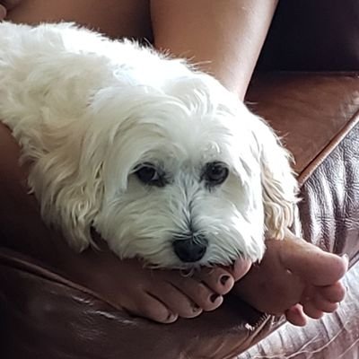 RikBarnes's profile picture. 