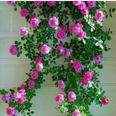 g1428_g's profile picture. 