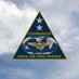 U.S. Naval Air Force Reserve (@flynavyreserve) Twitter profile photo