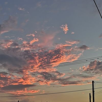 だぁ。さんのプロフィール画像