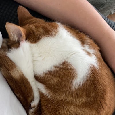 Ashley Matheson on Twitter: “You pull me over for speeding to try and