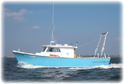 The Institute of Marine Sciences is a research unit of the University of North Carolina at Chapel Hill, located in Morehead City on the Outer Banks.