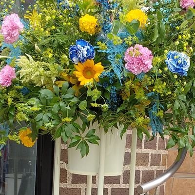 springstarOR's profile picture. 夜を待つ。