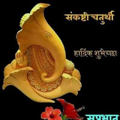 KunaBeh41016607's profile picture. 