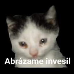 EsmeMelru's profile picture. 25 I Mexicana |