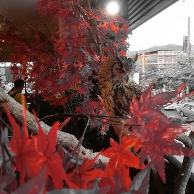 9AkjUCBcqdxfxaF's profile picture. 西高70→北大
ソフトテニス
経済