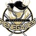Minnesota Renegades (@MNRenegadesSB) Twitter profile photo