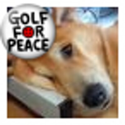 さとやん さとやん (@sato2637) / Posts / X