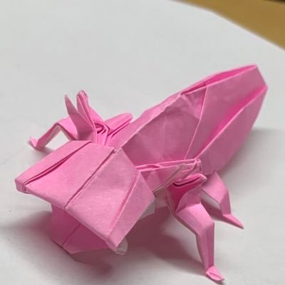 シゲル 折り紙 Twitter પર 作品名 インコ 創作者 自分 鶴の基本形から作りました カラフルな体を表現するために表と裏の両方を使った自信作です 折り紙作品 折り紙 折り紙 インコ オウム の折り方 T Co Jr16jlxngg