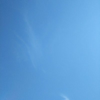 Rii55985585's profile picture. ↑19