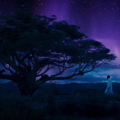 jlabastille's profile picture. 