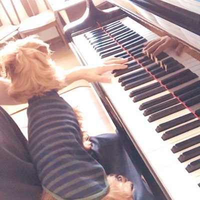 K-studio/piano/Electone/guitar(予定)/drum(願望)/スーパーマイペース