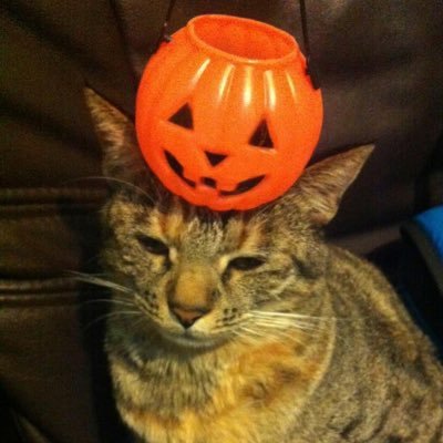 耒井土一さんのプロフィール画像