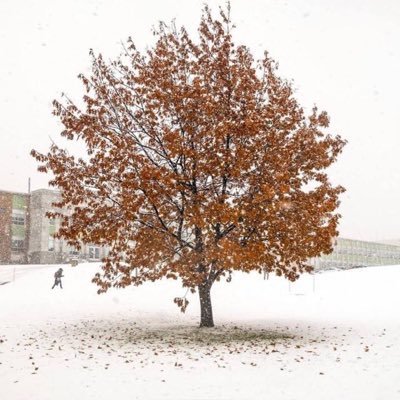 abadel2020's profile picture. A/Professor of Structural Engineering