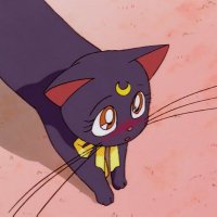 梨【取引】 (@82chae) 's Twitter Profile