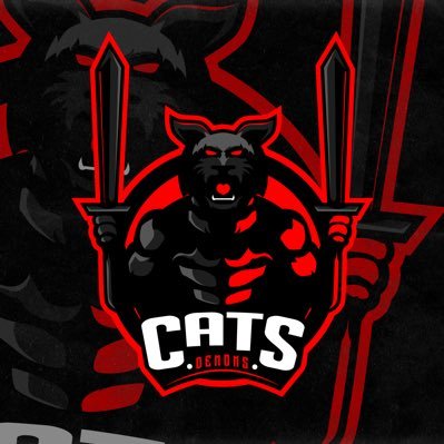 CLUB ESPORTS LATAM | #ClashRoyale | #AlwaysDemons🐈 |📥contactbussinesmd@gmail.com | CERRADO TEMPORALMENTE