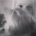 Piia Parkkinen (@parkkinenpiia) Twitter profile photo Piia Parkkinen (@parkkinenpiia) Twitter profile photo