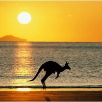 Australia Online(@AustralianStore) 's Twitter Profile Photo