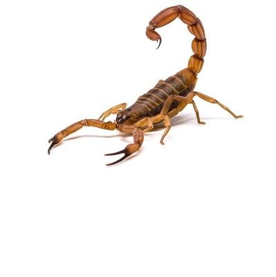 paulmuthama1's profile picture. Simplicity is the ultimate sophistication...⁹³97²⁴