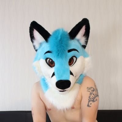 Pocket Fox Profile