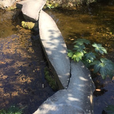 4mB4ErFQJRJ4KuF's profile picture. 🈴令5行政書士 愛知県在住です。 最近、司法書士を勉強しています。