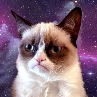 AAllrts's profile picture. siempre en estado de espera