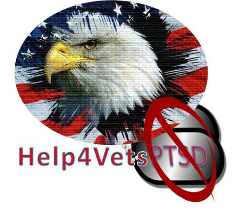 Help4VetsPTSD is a non-profit organization founded by disabled veterans for disabled veterans with post-traumatic stress disorder (PTSD). Welcome Home!