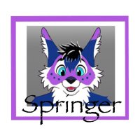 Springer (@springercabbit) 's Twitter Profile