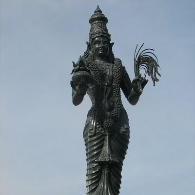nparupalli's profile picture. 