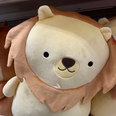 SakuraMauSio's profile picture. 考えることをやめないで