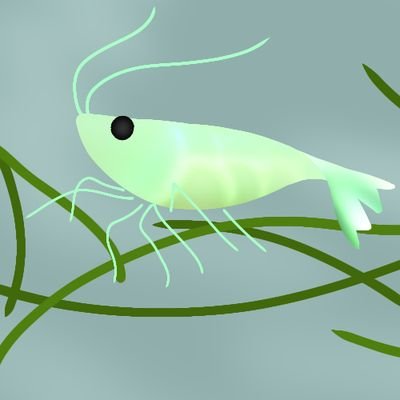 Shrimpさんのプロフィール画像