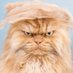 The Honorable Judge Mental (@honorablemental) Twitter profile photo The Honorable Judge Mental (@honorablemental) Twitter profile photo