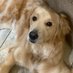 Carol Christiansen (@realcarollee) Twitter profile photo Carol Christiansen (@realcarollee) Twitter profile photo