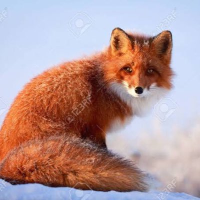 BIypUmssKSeTUnE's profile picture. a