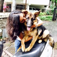 Anuja Dhoot(@anujadhoot) 's Twitter Profile Photo