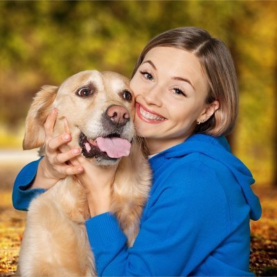 🐶 The face of a #goldenretriever feels like home. If You Love #Golden_Retriever Just Follow Me!