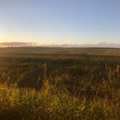 We are a Grade 2 class located in Airdrie, AB, Canada. Curious inquirers looking to connect and collaborate with other classes around the world.