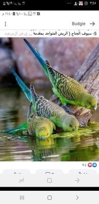 wa4wcdMEwcNdUqo's profile picture. 