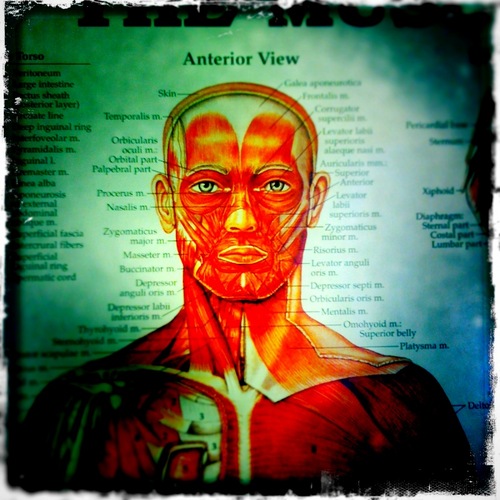 shawndufraine's profile picture. Wherever.  Whatever.  Have A Nice Day.