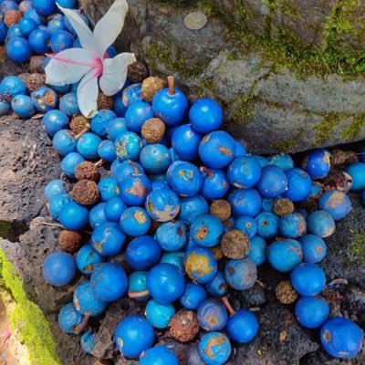 panudh01's profile picture. 