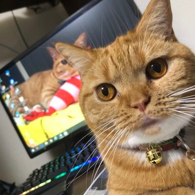 CWからMW2の3月までCheckmateで活動。4月からAbsolute N3oで活動中です。ほぼ毎日21時〜23時半交流戦募集中