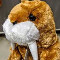 セイ (@seysey_go) 's Twitter Profile
