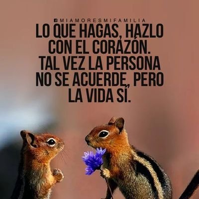 Vity59298850's profile picture. a por qué eres tan hermosa y a la vez tan difícil,a veces la miro y lloro y lloro