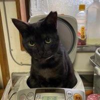 ジュン♪ (@sumieotsuzumi) Twitter profile photo