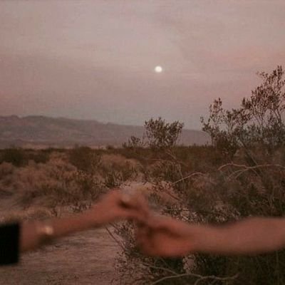 LifeftFeelings's profile picture. 
