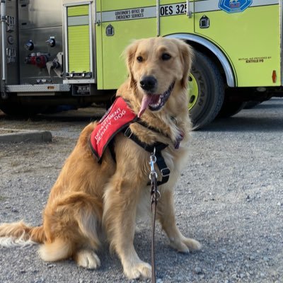 The original First Responder Therapy Dog. Loves pets from fire fighters, police officers and dispatchers