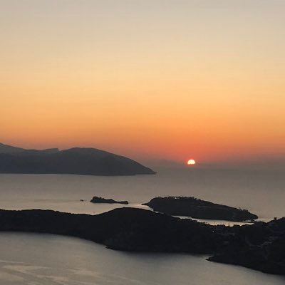 curlycurvess's profile picture. 