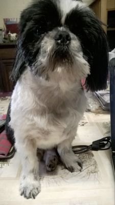 francoise_gaume's profile picture. 