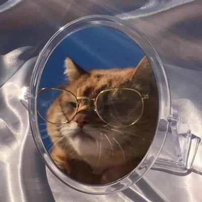 amakyungg's profile picture. just a passerby camel