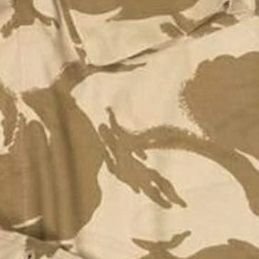 Peter1Simpson's profile picture. the one you want on your side.